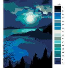Malujsi Maľovanie podľa čísel - Pri splne mesiaca - 80x120 cm, bez dreveného rámu