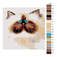 Malujsi Maľovanie podľa čísel - Modrooký Fluffy - 40x40 cm, bez dreveného rámu