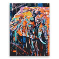 Malujsi Maľovanie podľa čísel - Slon vo farebnom daždi - 60x80 cm, plátno vypnuté na rám