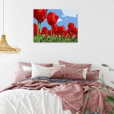 Malujsi Maľovanie podľa čísel - Červené tulipány - 80x60 cm, plátno vypnuté na rám