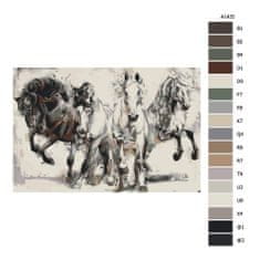 Malujsi Maľovanie podľa čísel - Štyria bojovníci - 120x80 cm, bez dreveného rámu