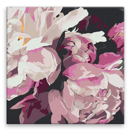 Malujsi Maľovanie podľa čísel - Kvet pivonky - 80x80 cm, plátno vypnuté na rám