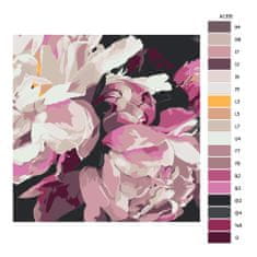 Malujsi Maľovanie podľa čísel - Kvet pivonky - 40x40 cm, plátno vypnuté na rám