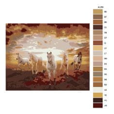 Malujsi Maľovanie podľa čísel - Kone v slnečnom svite - 50x40 cm, bez dreveného rámu