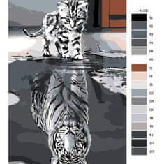 Malujsi Maľovanie podľa čísel - Mačka vs tiger - 80x120 cm, bez dreveného rámu