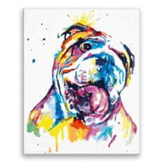 Malujsi Maľovanie podľa čísel - Buldog vo farbách - 80x100 cm, plátno vypnuté na rám