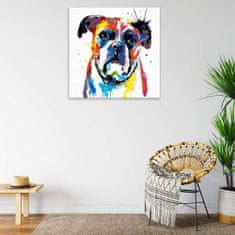 Malujsi Maľovanie podľa čísel - Boxer vo farbách - 80x100 cm, plátno vypnuté na rám