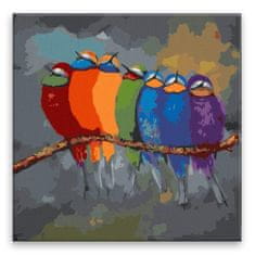Malujsi Maľovanie podľa čísel - Vtáky vo farbách - 80x80 cm, plátno vypnuté na rám