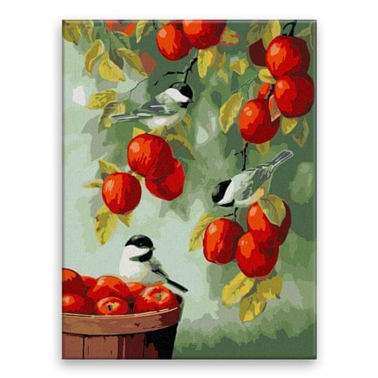 Malujsi Maľovanie podľa čísel - Vtáky a jablká - 60x80 cm, plátno vypnuté na rám