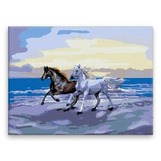 Malujsi Maľovanie podľa čísel - Kone na pláži - 80x60 cm, plátno vypnuté na rám