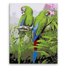 Malujsi Maľovanie podľa čísel - Krásne papagáje - 80x100 cm, plátno vypnuté na rám
