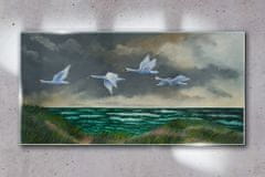 COLORAY.SK Skleneny obraz Vtáky morskej oblohy labute 140x70 cm