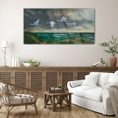 COLORAY.SK Skleneny obraz Vtáky morskej oblohy labute 140x70 cm