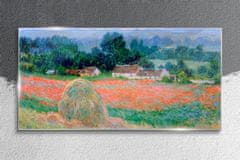 COLORAY.SK Skleneny obraz Claude mince 140x70 cm