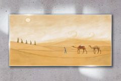 COLORAY.SK Skleneny obraz Púštna slnka zvieratá 140x70 cm