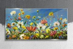 COLORAY.SK Skleneny obraz Maľovanie kvety lúka 100x50 cm
