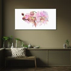 COLORAY.SK Skleneny obraz Akvarel orchidea kvetina 100x50 cm