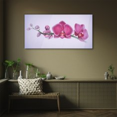 COLORAY.SK Skleneny obraz Akvarel kvetina vetva orchidea 100x50 cm