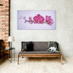 COLORAY.SK Skleneny obraz Akvarel kvetina vetva orchidea 100x50 cm