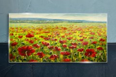 COLORAY.SK Skleneny obraz Maľovanie kvety lúka maki 120x60 cm
