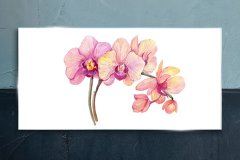 COLORAY.SK Skleneny obraz Maľovanie kvetín vetvy 100x50 cm