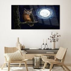 COLORAY.SK Skleneny obraz Strom vetva sova nočné mesiac 120x60 cm