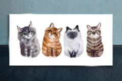 COLORAY.SK Skleneny obraz Maľovanie zvierat mačky 100x50 cm