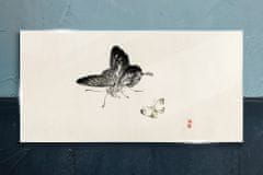 COLORAY.SK Sklenený obraz Moderné hmyz motýľ 140x70 cm