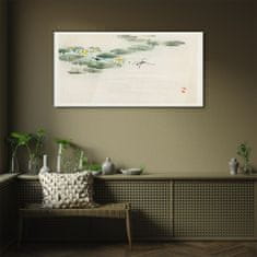 COLORAY.SK Sklenený obraz Vodné listy hmyzu 100x50 cm
