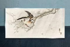 COLORAY.SK Sklenený obraz Pobočky zvierat vtákov 120x60 cm