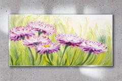 COLORAY.SK Skleneny obraz Kvety rastlín trávy 120x60 cm