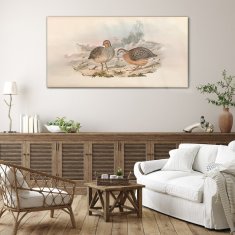 COLORAY.SK Skleneny obraz Zvieratá vtákov 140x70 cm