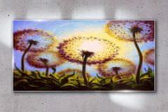 COLORAY.SK Skleneny obraz Abstrakcie kvety tupé 120x60 cm