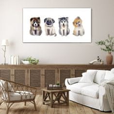 COLORAY.SK Skleneny obraz Abstrakcie zvierat psov 140x70 cm