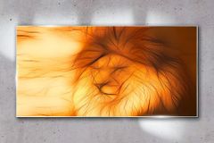 COLORAY.SK Skleneny obraz Abstraktné zvieracie mačka leva 120x60 cm