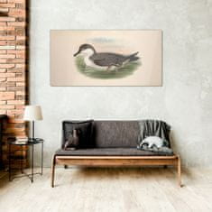 COLORAY.SK Skleneny obraz Vtáky divoké zvieratá 100x50 cm