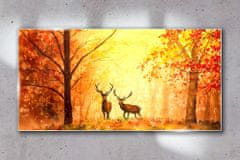 COLORAY.SK Skleneny obraz Jesenné lesné jeleň 100x50 cm