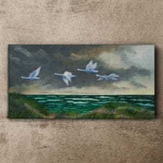 COLORAY.SK Obraz canvas Vtáky morskej oblohy labute 120x60 cm