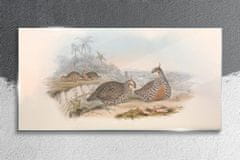 COLORAY.SK Skleneny obraz Vtáky zvieratá kreslenie 140x70 cm