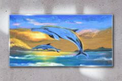 COLORAY.SK Skleneny obraz Abstrakcie dolphins nebo 100x50 cm