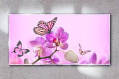 COLORAY.SK Skleneny obraz Kvety prírody motýľ 120x60 cm