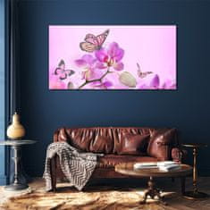 COLORAY.SK Skleneny obraz Kvety prírody motýľ 120x60 cm