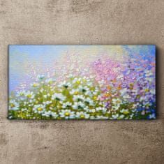 COLORAY.SK Obraz Canvas Moderné lúka kvety 120x60 cm