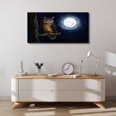 COLORAY.SK Obraz canvas strom vetva sova nočné mesiac 100x50 cm