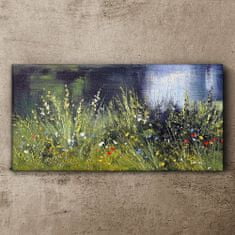 COLORAY.SK Obraz canvas Rieka kvety Tráva 120x60 cm