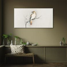 COLORAY.SK Sklenený obraz Pobočky zvierat vtákov 100x50 cm