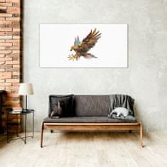 COLORAY.SK Skleneny obraz Zvieracie vták eagle 100x50 cm