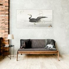 COLORAY.SK Sklenený obraz Ázia lake zvierací vták 100x50 cm