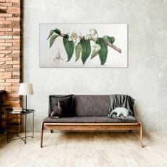 COLORAY.SK Skleneny obraz Kreslenie kvetinové konáre orchidey 100x50 cm