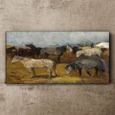 COLORAY.SK Obraz Canvas Maľovanie zvierat kone 100x50 cm